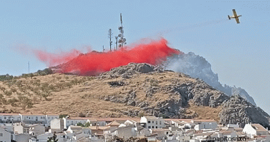 Amplio dispositivo terrestre y aéreo para combatir un incendio forestal en el Cerro del Algarrobo de Luque