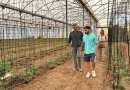 La Junta destina casi 19 millones a 362 jóvenes para incorporarse al campo en Córdoba
