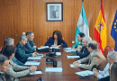 Los robos de aceituna caen un 49% en Córdoba y la Guardia Civil refuerza la vigilancia para la nueva campaña