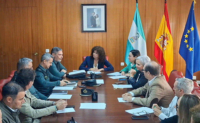 Los robos de aceituna caen un 49% en Córdoba y la Guardia Civil refuerza la vigilancia para la nueva campaña