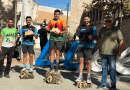 El Media Legua de Baena domina el Mini Trail Sierra de Aras con cuatro podios en Lucena