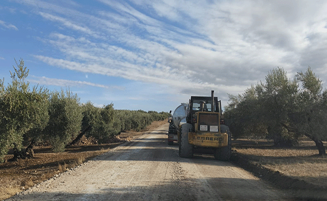 El Ayuntamiento de Baena acondicionará 35 kilómetros de caminos rurales antes de la campaña de aceituna